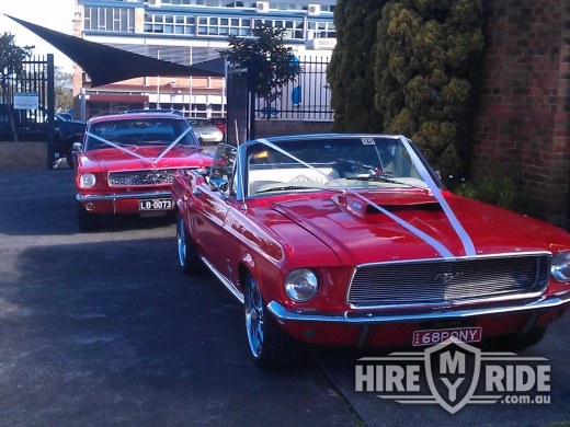 Ford MUSTANG Car Hire in NSW 2026